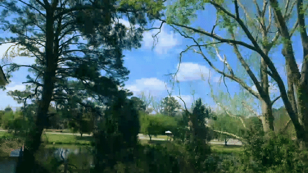 ezgif-7-7579b0518387