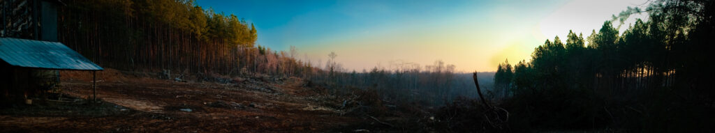 Destructive Force – Deforestry