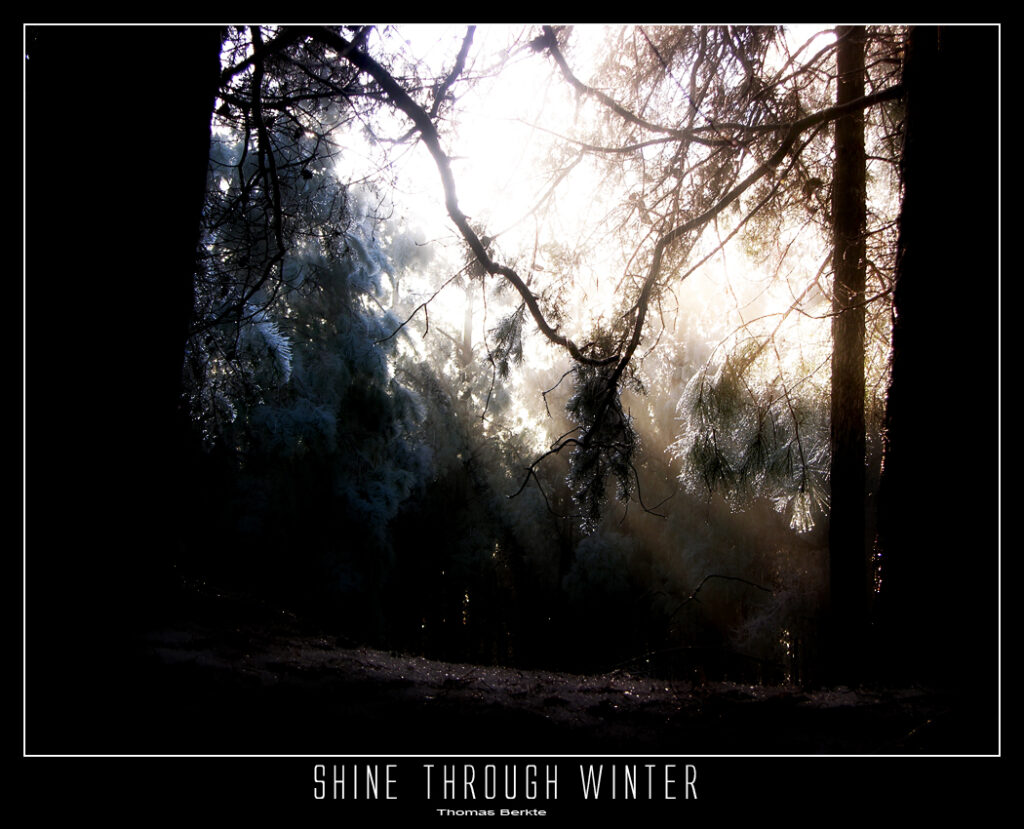 Shine Through Winter
