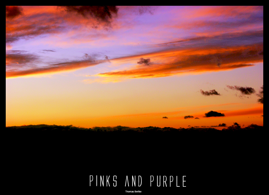 Pinks and Purples