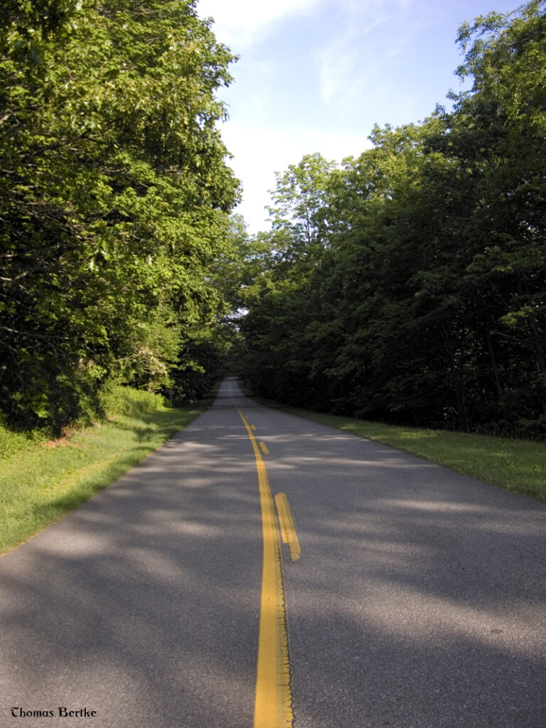 Follow the Yellow Lined Road
